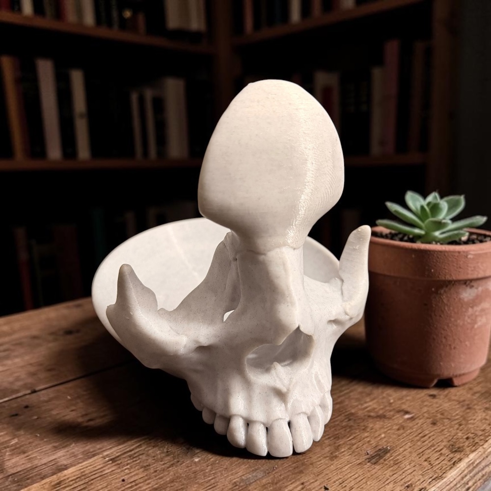 Skull eyewear stand & Valet tray